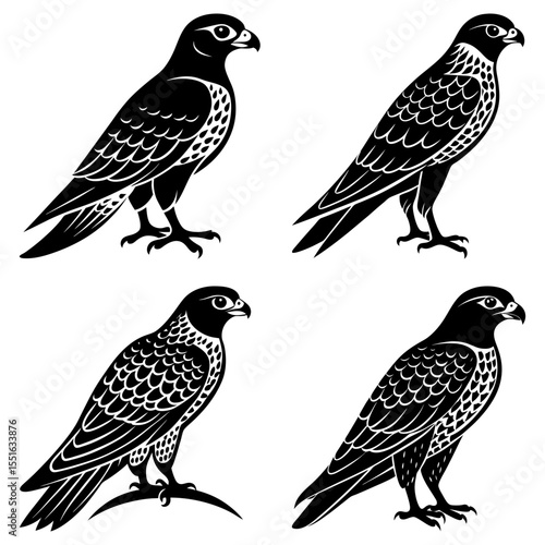 Four falcon silhouettes stand isolated on white background in graphic art