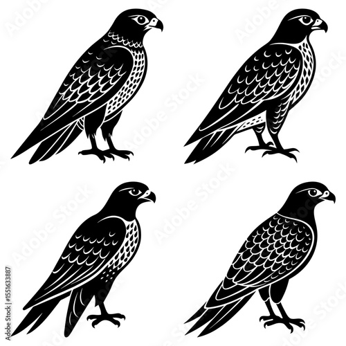 Four falcon silhouettes stand isolated on white background in graphic art