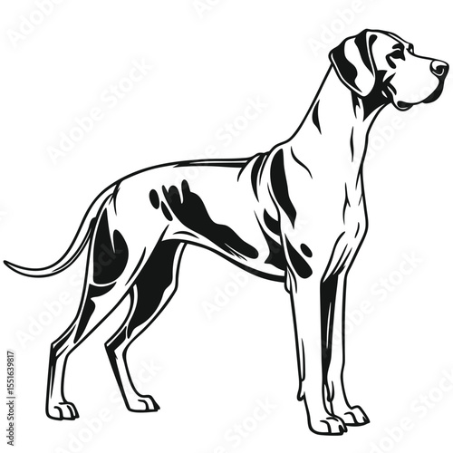 Elegant Great Dane Illustration Striking Black and White Portrait of a Noble Breed Standing Proudly in Profile on a White Background
