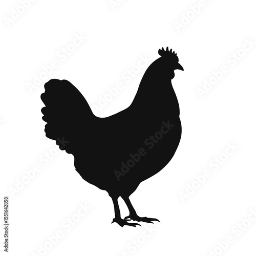 A vibrant vector illustration of a farm poultry set, including a rooster, hen, and chick, isolated on a white background