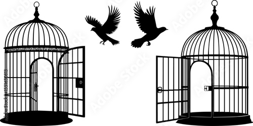 Birds Flying Free from an Open Birdcage - A Symbol of Liberation