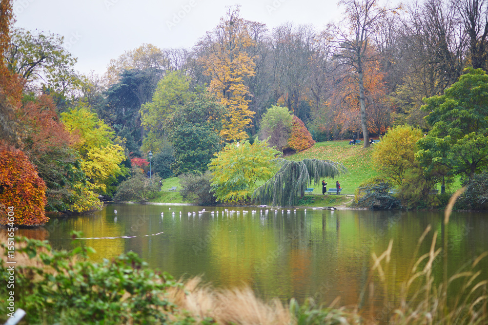 Fototapeta premium Scenic view of colorful fall trees in Montsouris oark on a nice autumn day in Paris, France.