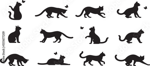 Black vector animal silhouettes set: horses, dogs, cats, and wild mammals like dinosaurs and kangaroos, isolated for illustration