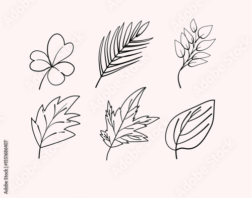 Set of Line Leaves Tropis, Summer