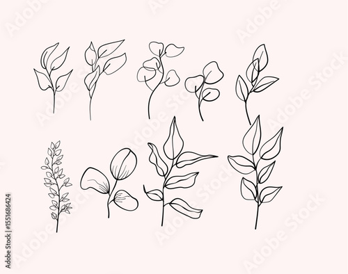 Set of Line Leaves Tropis, Summer