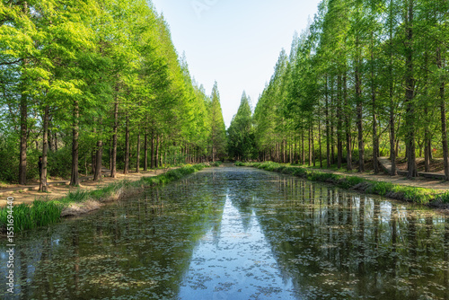 Gyeongbuk Millennium Forest Garden