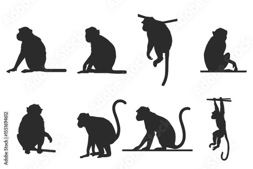 Collection images monkeys silhouette vector white background