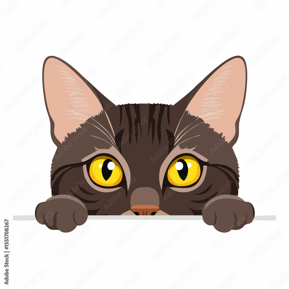 black cat on white background black cat on white background
