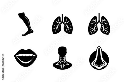 Human Body Parts set Vector icons.