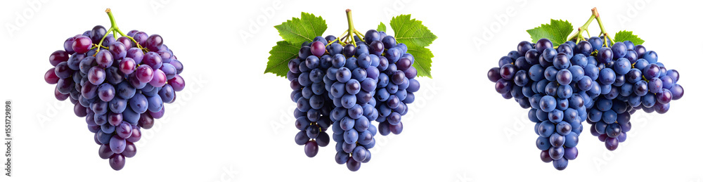 Naklejka premium Hanging Cluster of Dark Purple Grapes with Natural Shine and Green Stem, isolated on white background