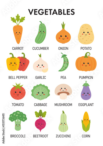 Educational Poster, learning vegetables for preschool, kindergarten. Vegetables Flashcards, vocabulary for kids in English. Learning material for homeschooling, teaching.