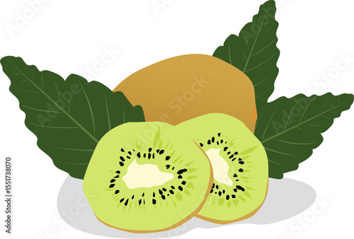 kiwi fruit vector image illustration, fresh kiwi fruit, kiwi fruit slices