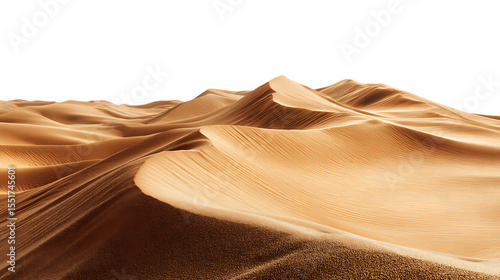 Golden sand dunes in the desert landscape.