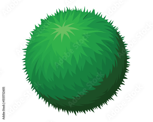 Stylized Green Bush or Shrub in a Spherical Shape on White Background