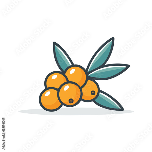 Minimal Flat Vector Sea Buckthorn with Bold Outline and Clean Gradient-Free Style
