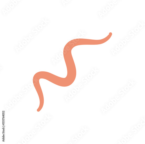 Ascaris Worm Parasite Vector Illustration