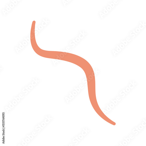 Ascaris Worm Parasite Vector Illustration