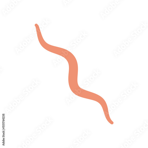 Ascaris Worm Parasite Vector Illustration