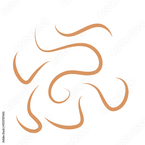 Roundworms in Cats and Dogs