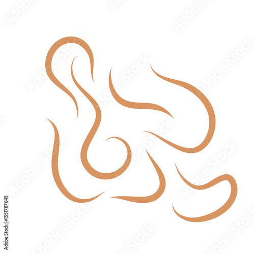 Roundworms in Cats and Dogs