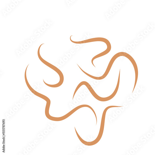 Roundworms in Cats and Dogs