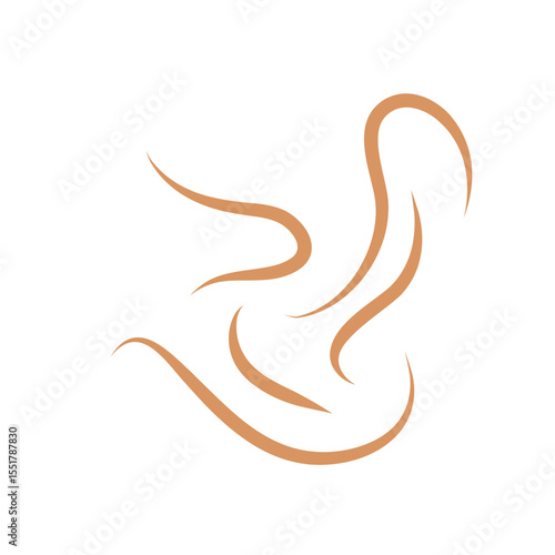 Roundworms in Cats and Dogs