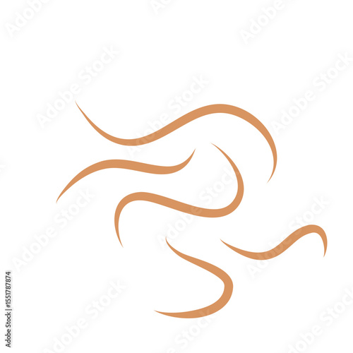 Roundworms in Cats and Dogs