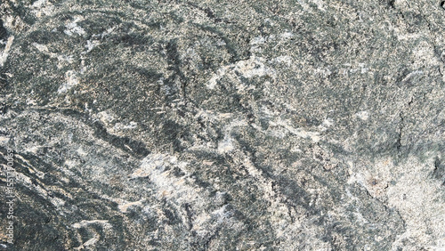 Photos Close up of gneiss metamorphic rock showing intricate patterns