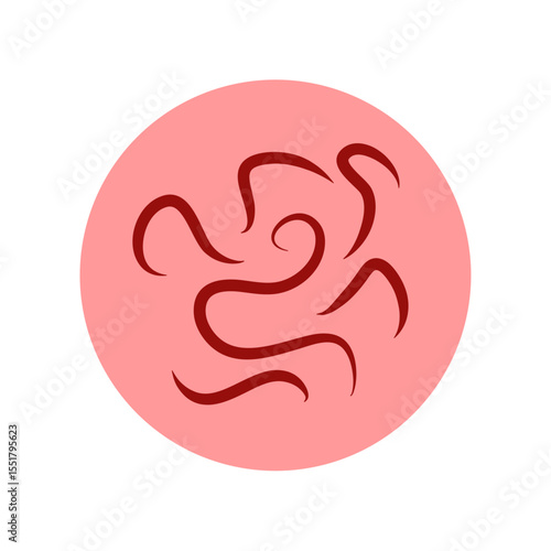 Pinworm parasite vector icon