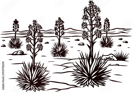 Hand drawn desert landscape with yucca trees and rocky terrain vintage botanical illustration