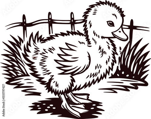 Hand drawn fluffy duckling standing on ground with grass and fence in vintage engraved