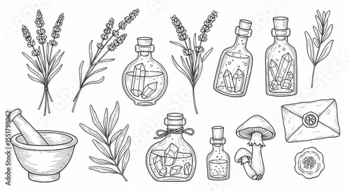 Set of hand drawn whimsical illustrations of herbs and potion bottles. Doodle drawings of lavender sprigs, crystal vials, mortar & pestles, mushrooms, and wax-sealed letters. 
