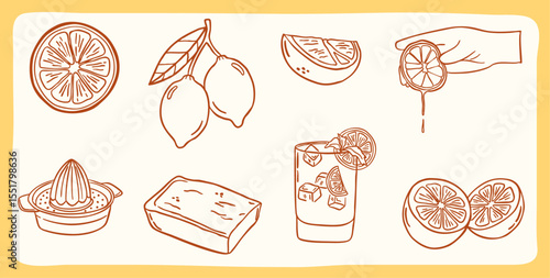 lemon, citrus, orange lime-part doodle illustration collection set