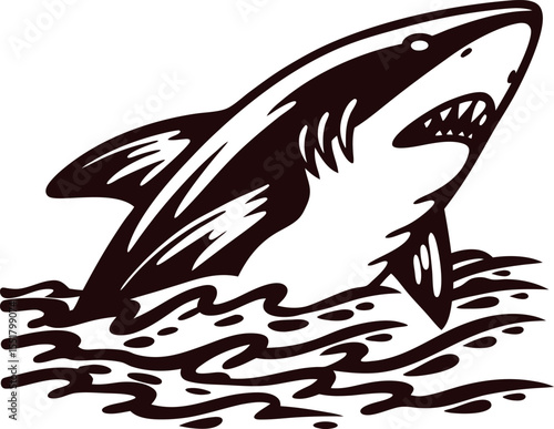 Vintage hand drawn illustration of a fierce shark emerging from ocean water with open mouth and sharp teeth