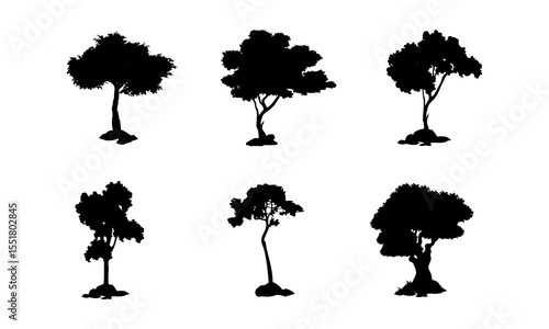 Set of trees silhouettes. collection of tress various shapes.