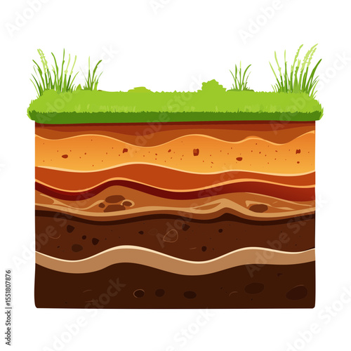 Cross-Sectional Soil Layers with Grass