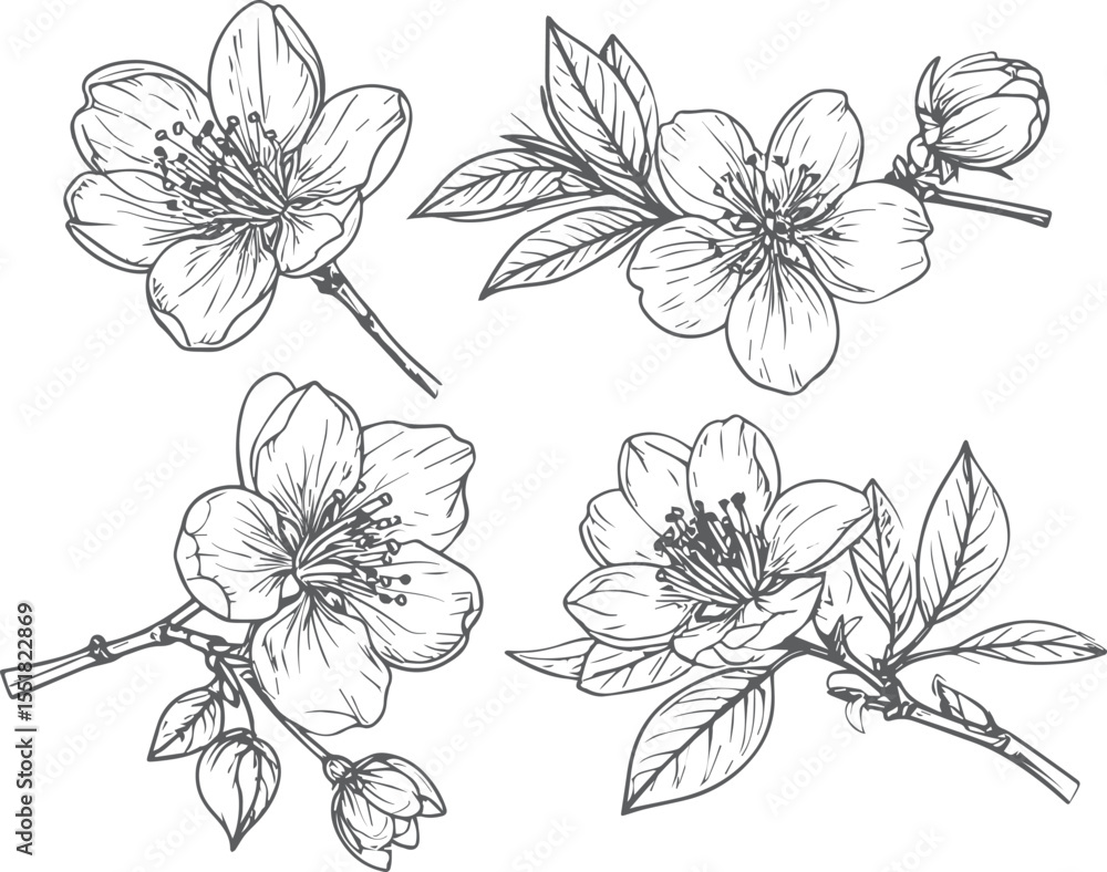 Fototapeta premium Set of Delicate Floral Blossom Branch Illustrations