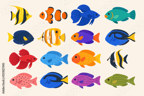 Colorful tropical fish collection with various species and patterns