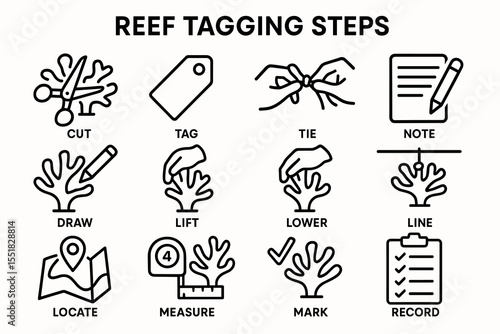 Reef tagging steps illustrated: cut, tag, tie, note, draw, lift, lower, line, locate, measure, mark, record