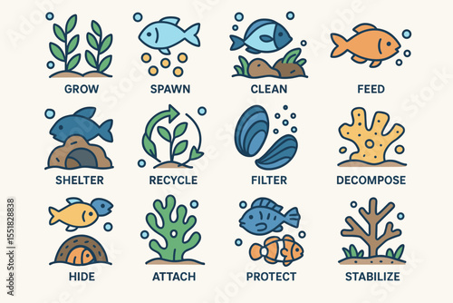 Illustrated aquatic icons for ecosystem growth and sustainability