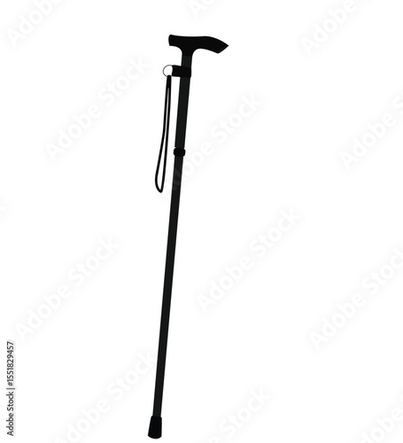 walking stick.Walking stick cane flat icon. You can be used walking stick cane