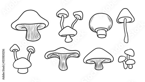 Collection of Various Hand-Drawn Mushroom Illustrations in Outline Style for Nature Designs