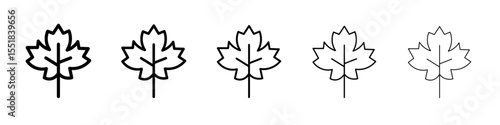 Maple leaf icon simple illustration logo art