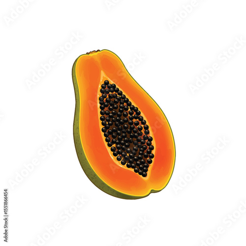 Close-up vector illustration of a halved papaya with black seeds on a white background, Whole and Sliced Papaya Cartoon Illustration with Seeds