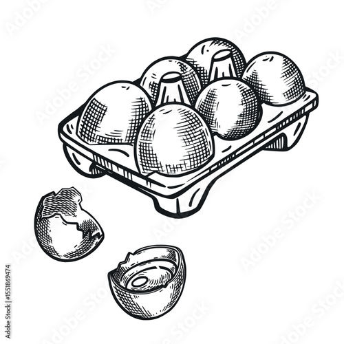 Chicken eggs, egg cell, cracked egg. Everything is hand-drawn in ink and translated into vector. The illustration is suitable for printing on food, farm products, in store design.
