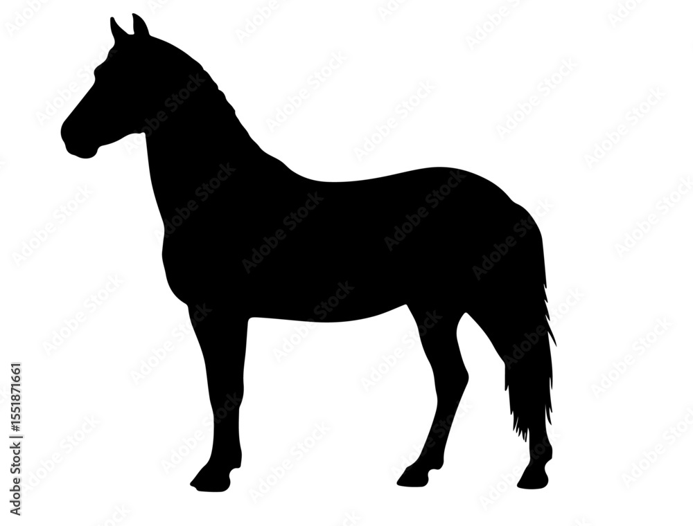 Fototapeta premium Batak Pony Horse in silhouette pure white background.
