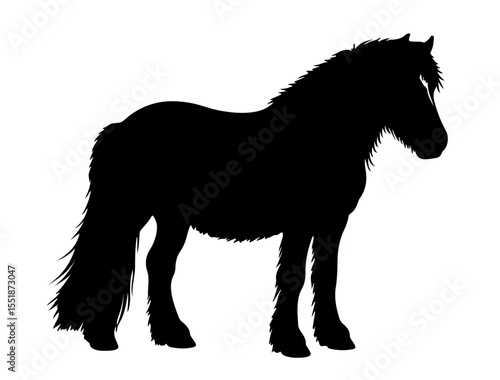 Dales Pony in silhouette pure white background