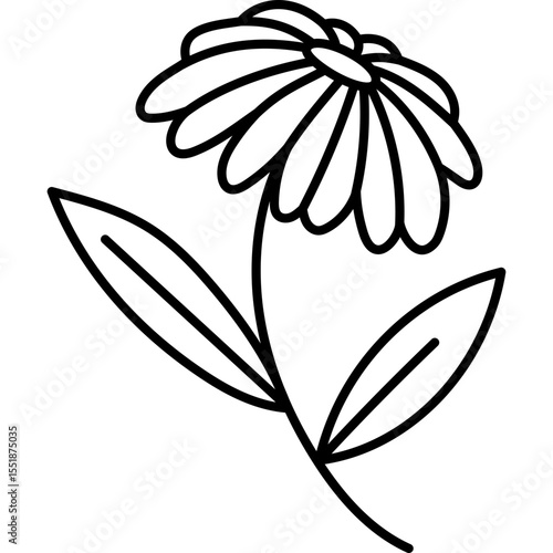 Lovely outline growing gerbera daisy with petals and leaves on stem. Romantic blooming wild meadow flower. Springtime wildflower isolated. Sketch floral doodle for Easter, Valentine design.