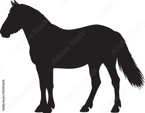 Estonian Draft horse in silhouette pure white background.