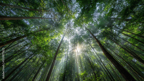 The fairyland-like natural scenery